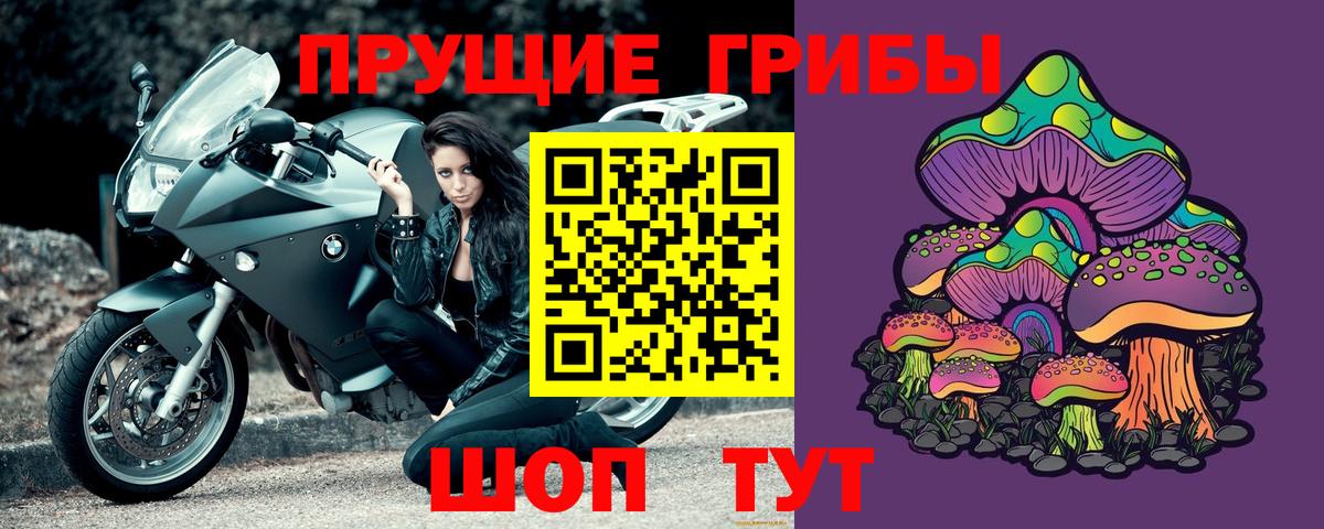 где найти   Вход с VPN  Кубинка  Псилоцибиновые грибы Cubensis 